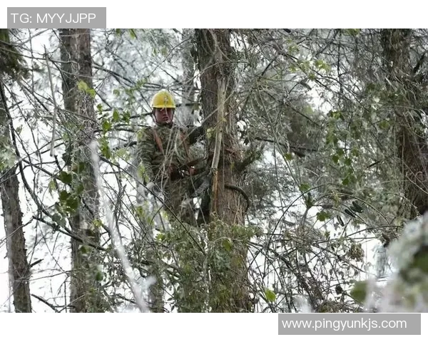 冰雪赛事救援与险情统计分析及应对措施探讨
