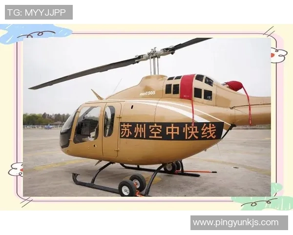 羽毛球青训新阶段探索与发展现状分析及未来展望